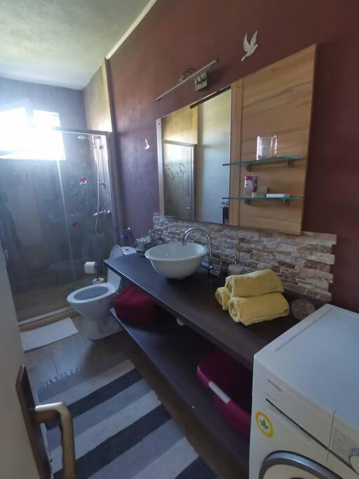 Apartment Zara Funtana Ngoại thất bức ảnh